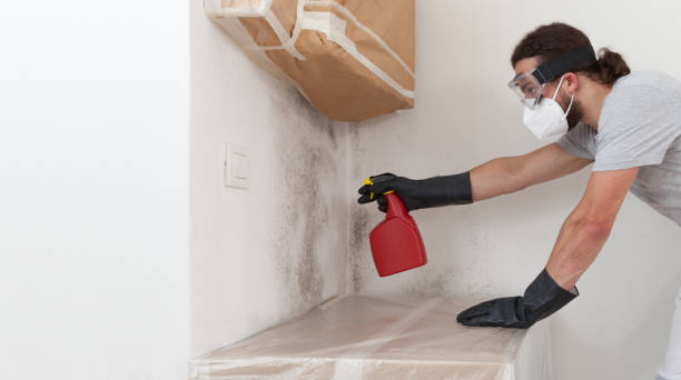 Professional Bathroom Mold Removal technician working in Netcong, NJ